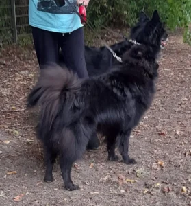 Llywellynn mit seiner Freundin Nicki