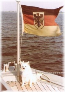 Bordhündin Conny vom Schnellen Minensuchboot ,,Orion” auf hoher See, 1963