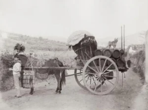 Ein gut bewachter Weintransport, ca. 1960
altes Foto