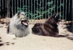 Otto und Susanne in Hamburg