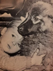 Wolfsspitz 1958