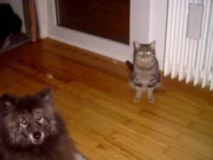 Otto und Richard