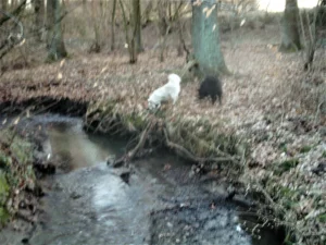 Spaziergang an der "Schönen Flöte"