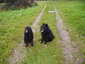 Gilla und Fidus