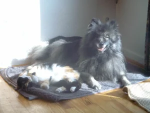 Kitty und Otto teilen sich einen Sonnenstrahl