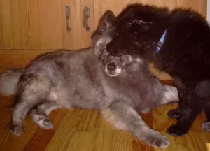 Altenpflegehelferin Gilla