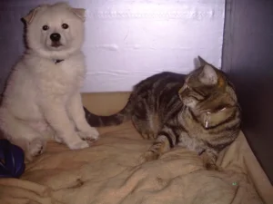 Der Beginn einer tiefen Freundschaft