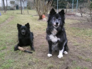 Im Garten