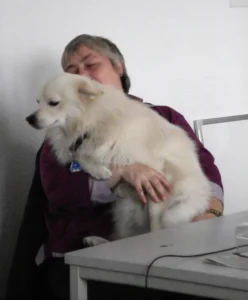 Hundeschule mal anders. . .