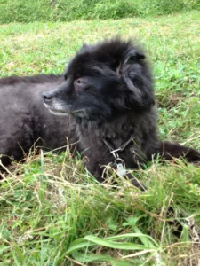 Kleine Verschnaufpause im Gras