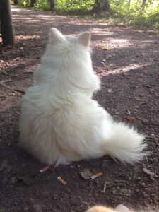 Soeffken - kleine Prinzessin