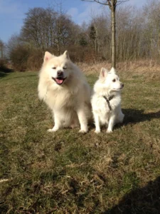 Soeffken und Anton - Das Team